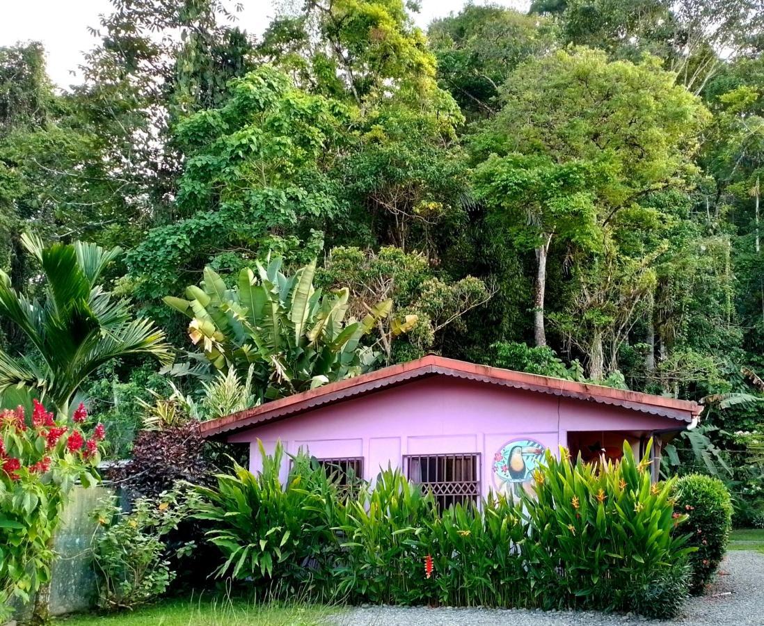 Apartamento Casa Alegra Puerto Viejo de Talamanca Exterior foto